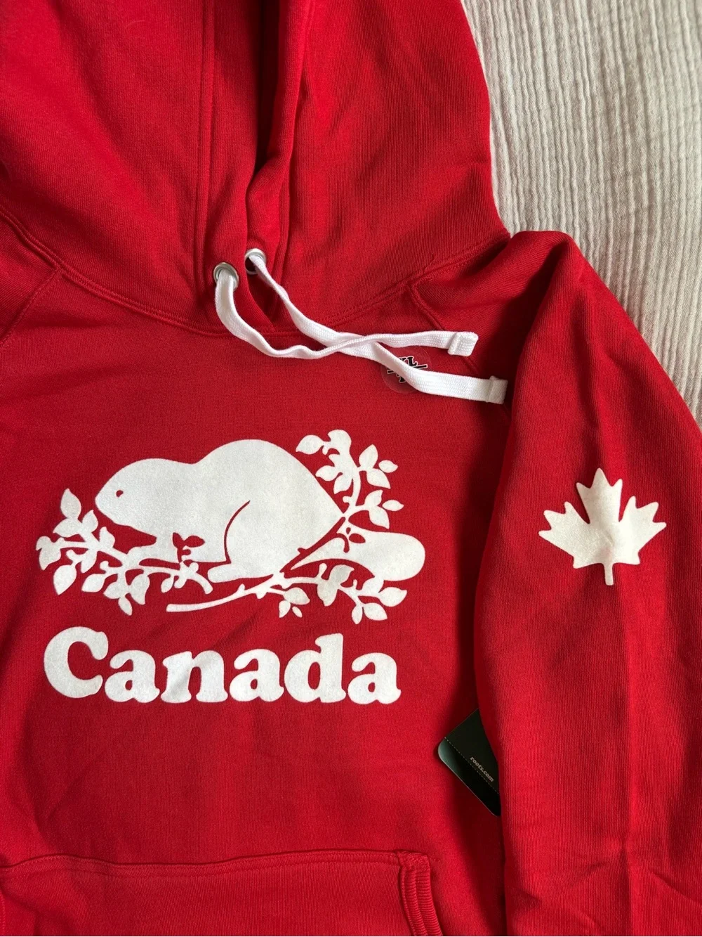 ROOTS Cooper Canada Kanga Hoodie in Sage Red (Unisex) - Picture 3 of 8